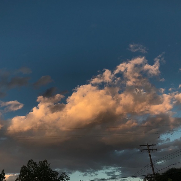 Bundle - Picture 1 of 1